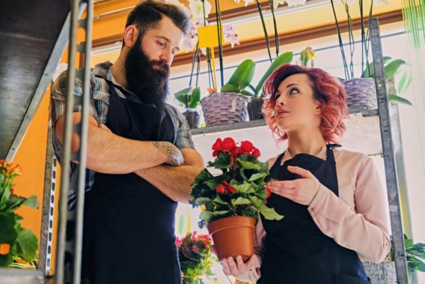 Installation florale d'intérieur en cours